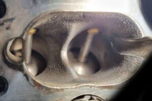 Engine Carbon Cleaning & Walnut Blasting Auckland